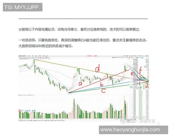 南京足球队与深圳足球队赛后技术分析与战术复盘探讨