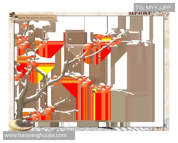 赵丽独家分享排球心得与技巧助你提升球技的全面指南
