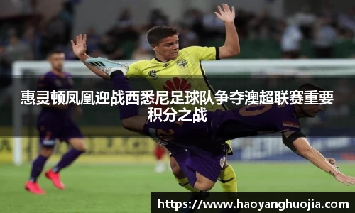 球盟会