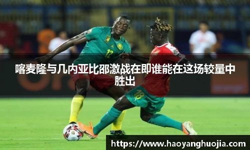 球盟会