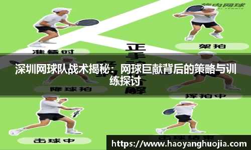 深圳网球队战术揭秘：网球巨献背后的策略与训练探讨